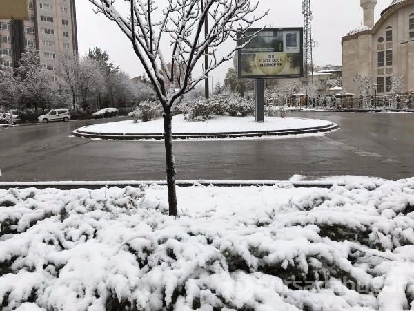 Lapa lapa kar Bursa 