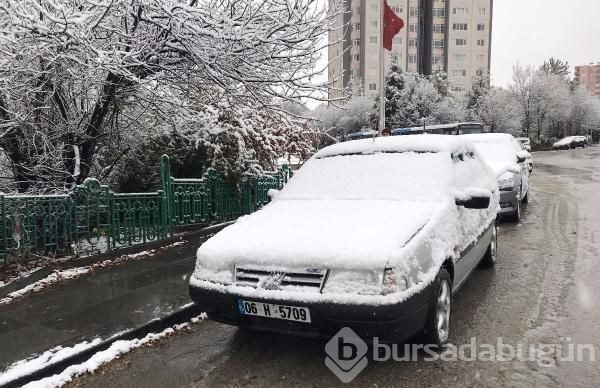 Lapa lapa kar Bursa 