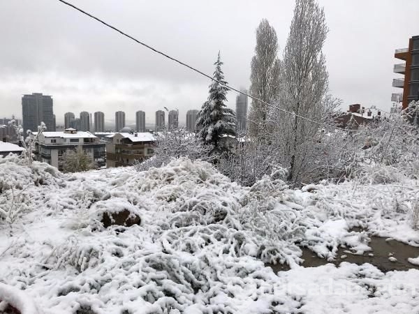 Lapa lapa kar Bursa 