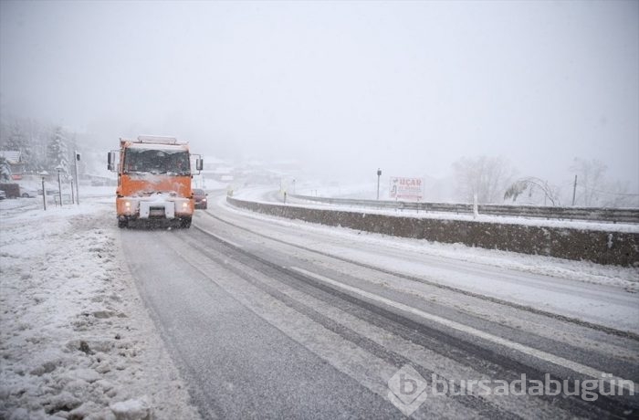 Lapa lapa kar Bursa 