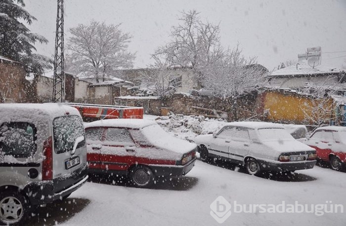 Lapa lapa kar Bursa 