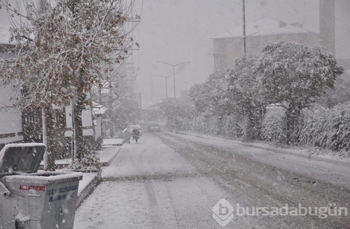 Lapa lapa kar Bursa 