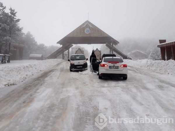 Lapa lapa kar Bursa 