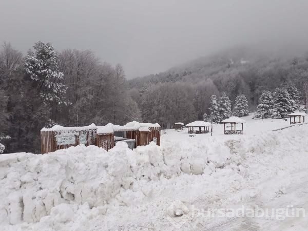 Lapa lapa kar Bursa 