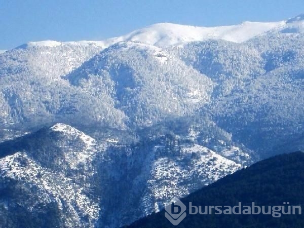 Lapa lapa kar Bursa 