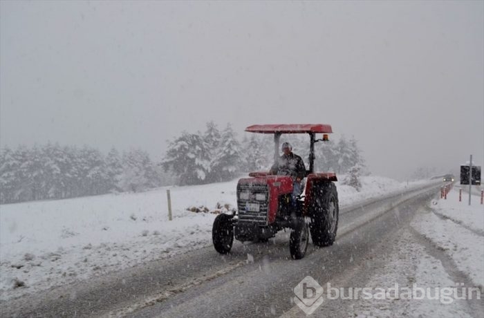 Lapa lapa kar Bursa 
