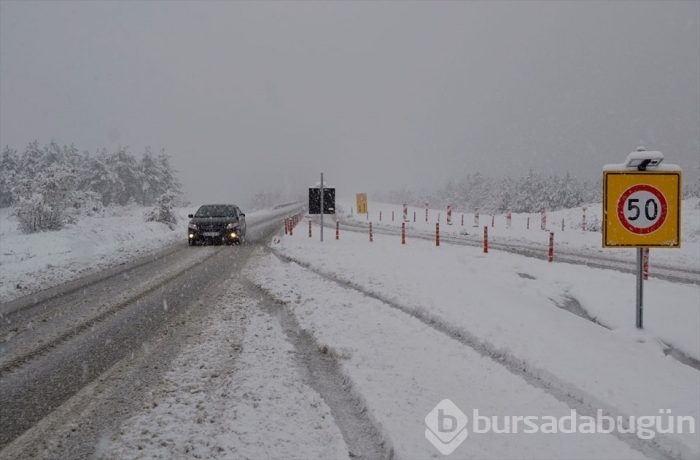 Lapa lapa kar Bursa 