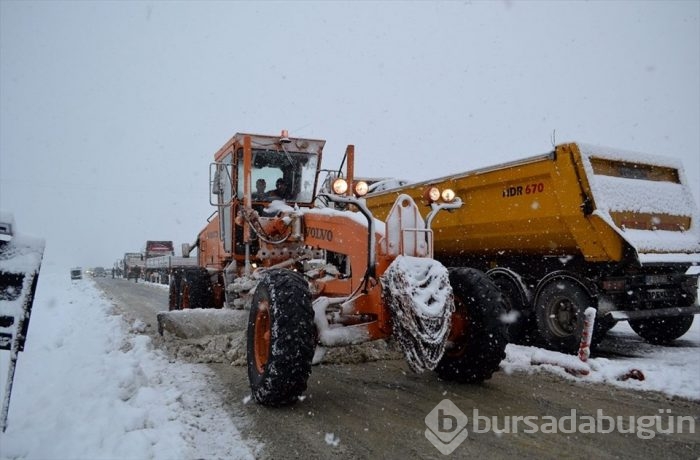 Lapa lapa kar Bursa 