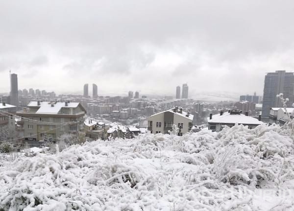 Lapa lapa kar Bursa 