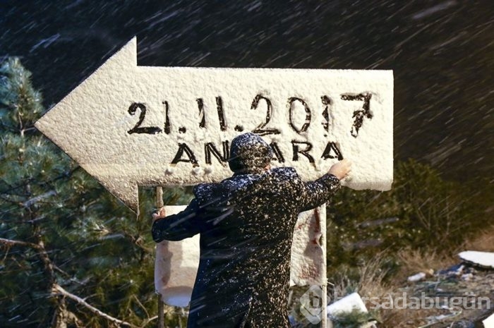 Lapa lapa kar Bursa 
