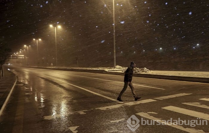 Lapa lapa kar Bursa 