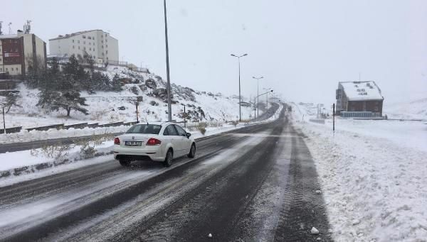 Lapa lapa kar Bursa 