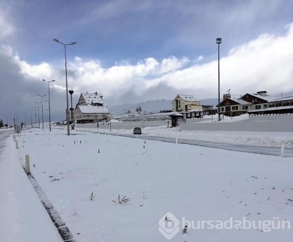 Lapa lapa kar Bursa 