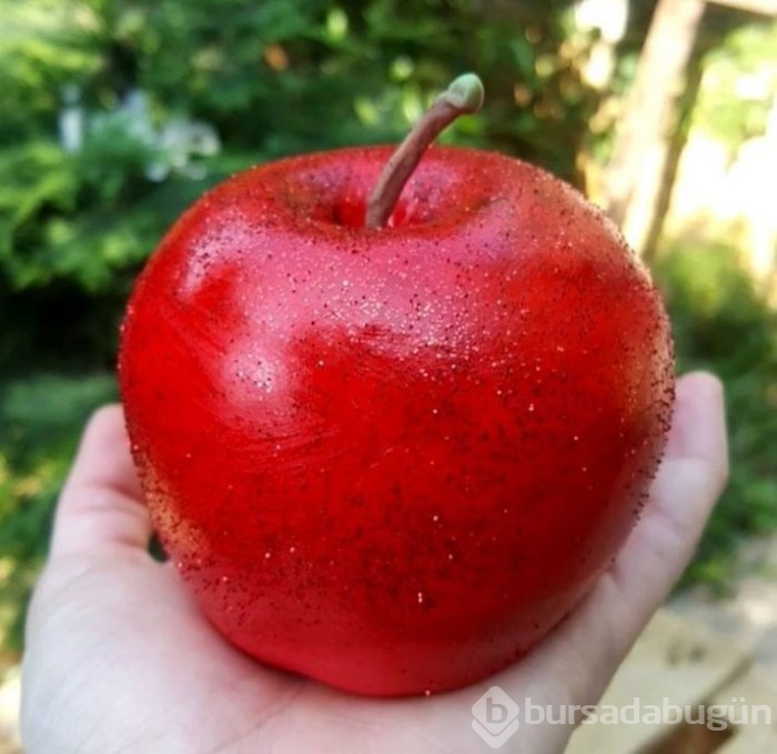 Bu pastalar akıl alıyor