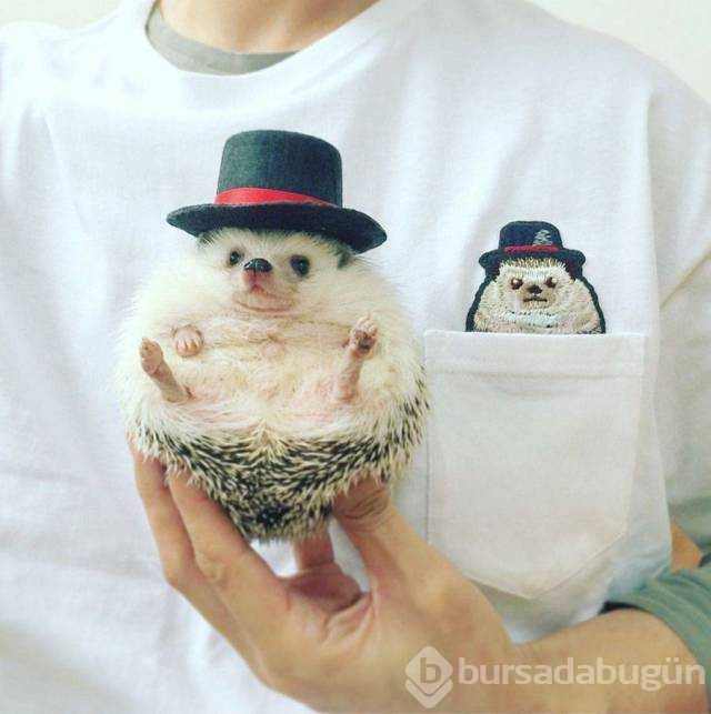 Günün en çok paylaşılan fotoğrafları