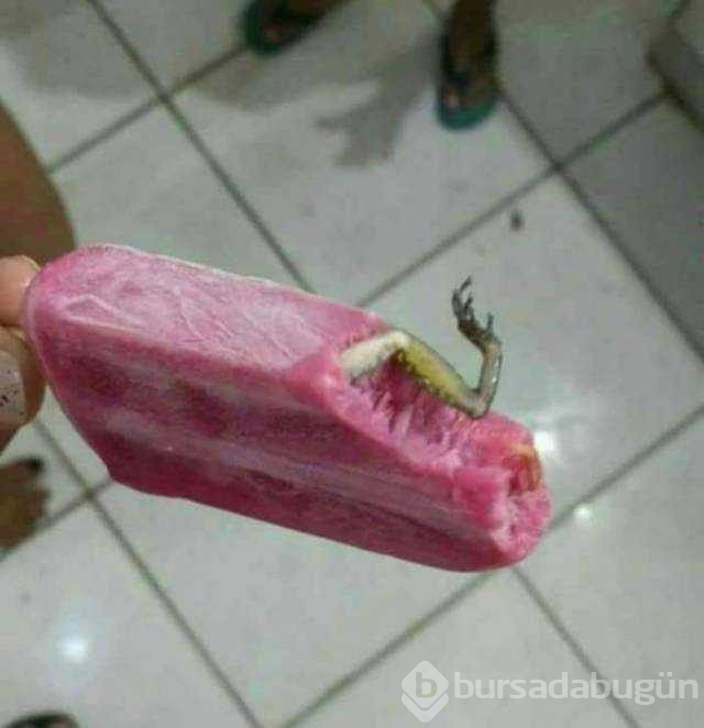Günün en çok paylaşılan fotoğrafları