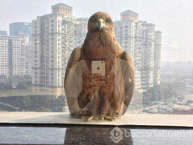 Günün en çok paylaşılan fotoğrafları