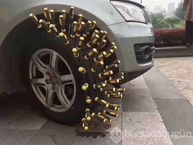 Günün en çok paylaşılan fotoğrafları