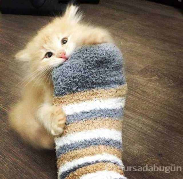 Günün en çok paylaşılan fotoğrafları