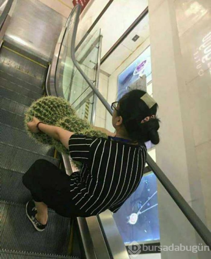 Günün en çok paylaşılan fotoğrafları