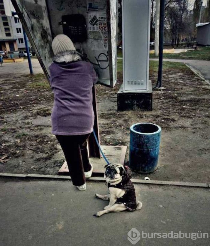 Günün en çok paylaşılan fotoğrafları