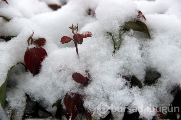 Erzurum'da kent merkezi beyaza bürüdü