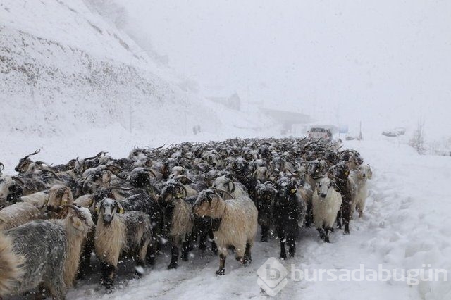 Ovit Tüneli ulaşıma açıldı