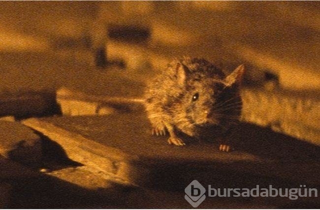Filmlerin perde arkası görüntüleri