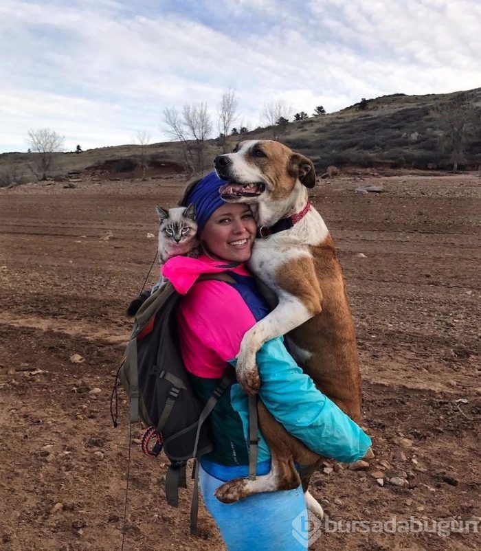 Gezgin kedi ve köpeğin kıskandıran dostluğu
