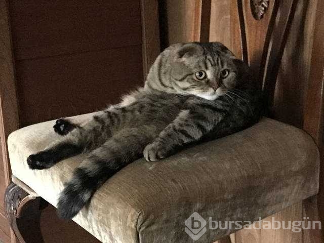 Günün en çok paylaşılan fotoğrafları
