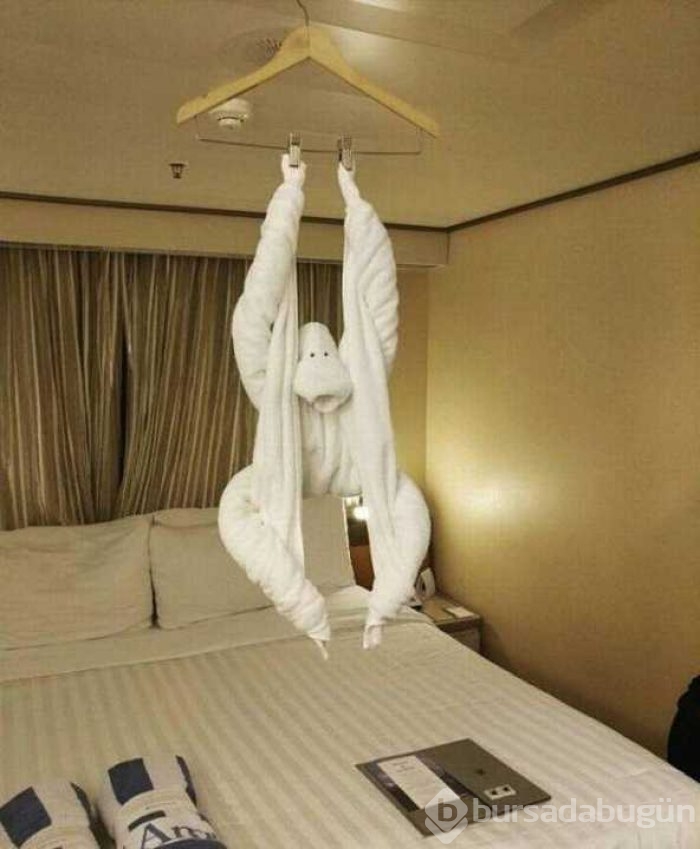 Günün en çok paylaşılan fotoğrafları