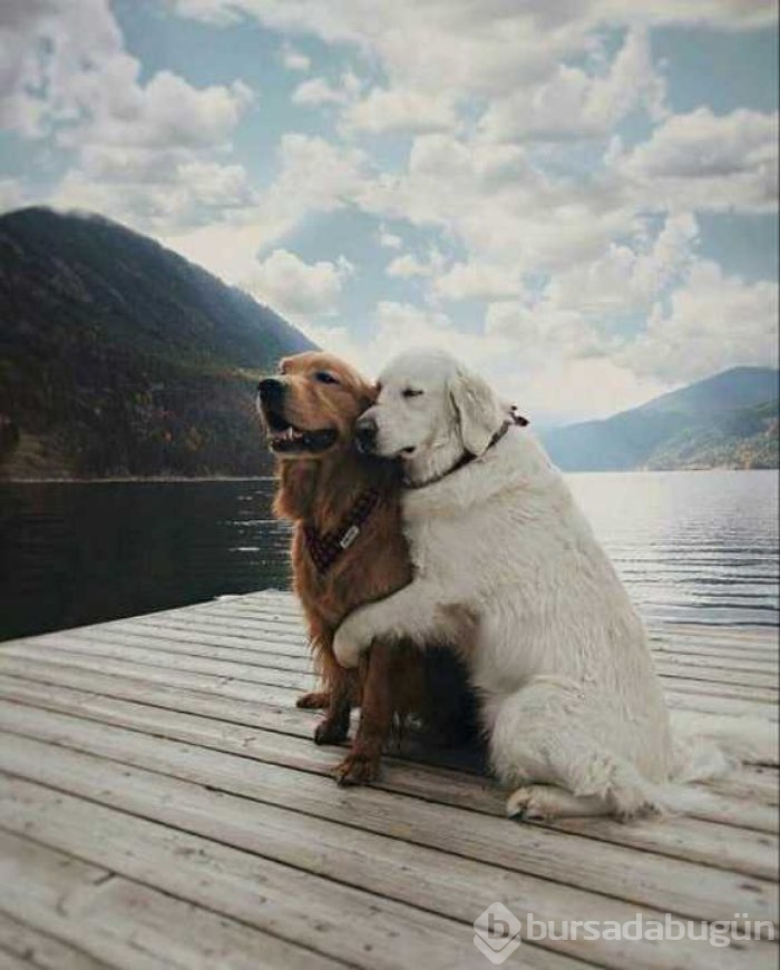 Günün en çok paylaşılan fotoğrafları
