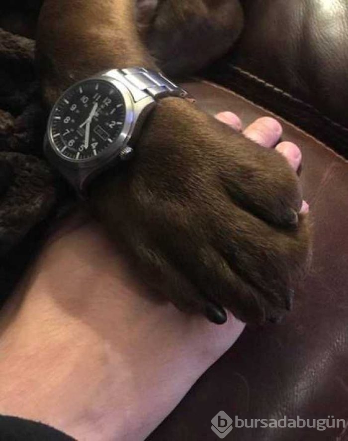Günün en çok paylaşılan fotoğrafları