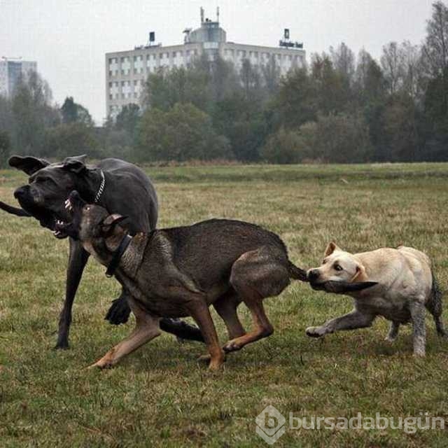Günün en çok paylaşılan fotoğrafları