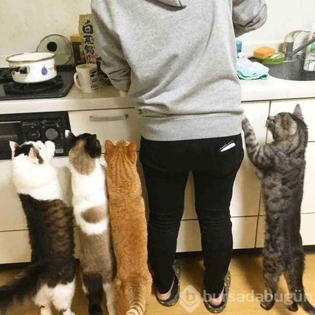 Günün en çok paylaşılan fotoğrafları