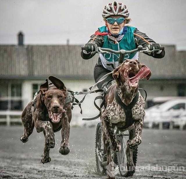 Günün en çok paylaşılan fotoğrafları