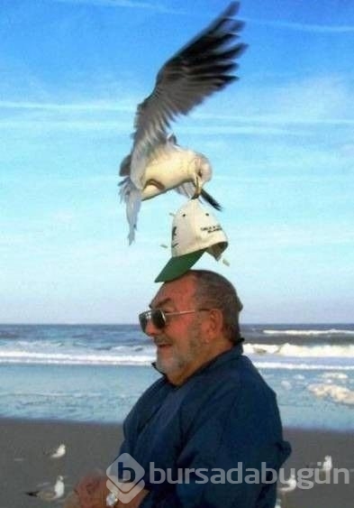 Zamanlaması harika!