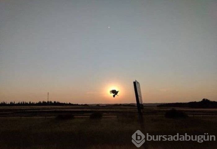 Zamanlaması harika!