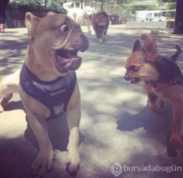 Zamanlaması harika!