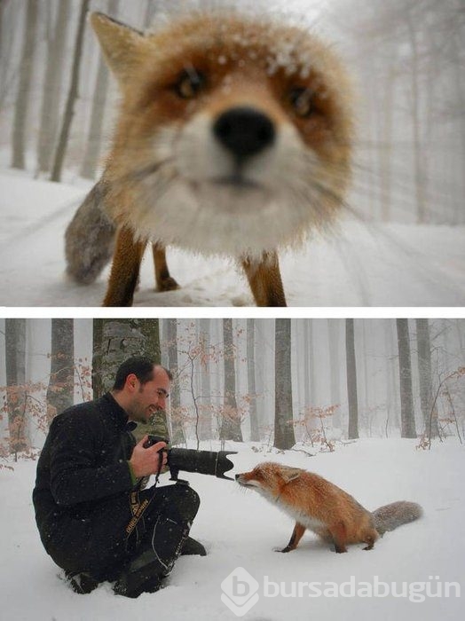 Fotoğrafların perde arkası