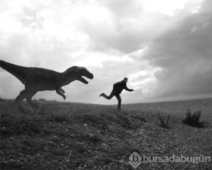 Fotoğraflardaki perspektif oyunları