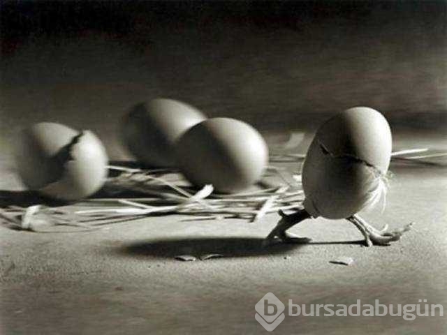 Günün en çok paylaşılan fotoğrafları