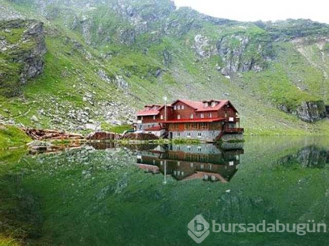 Günün en çok paylaşılan fotoğrafları