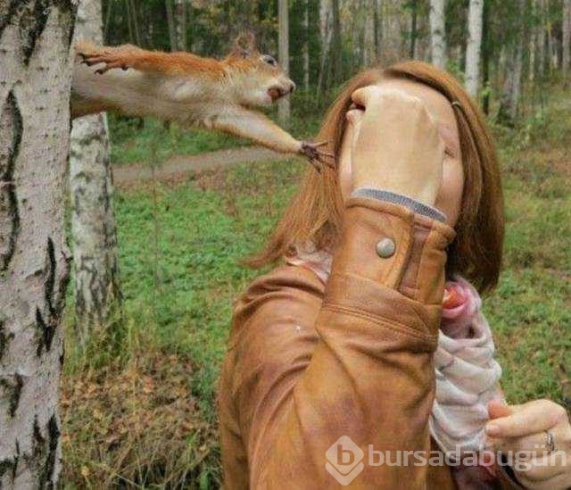 Günün en çok paylaşılan fotoğrafları