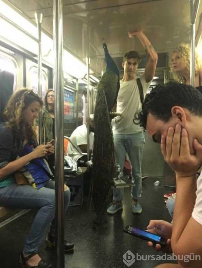 Günün en çok paylaşılan fotoğrafları