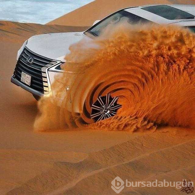 Günün en çok paylaşılan fotoğrafları