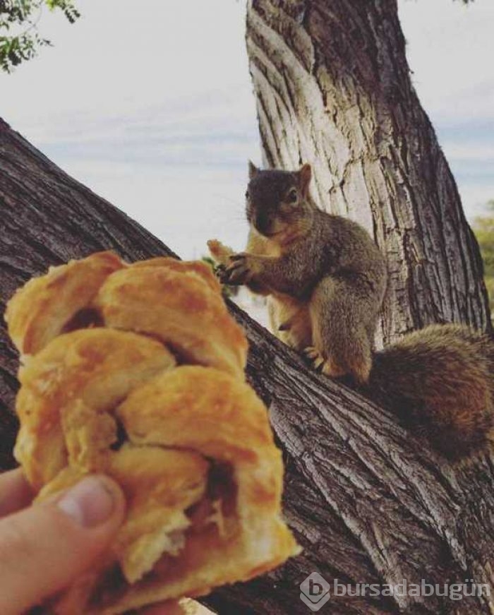 Günün en çok paylaşılan fotoğrafları