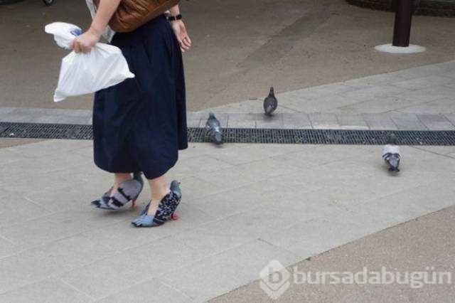 Günün en çok paylaşılan fotoğrafları