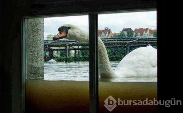 Günün en çok paylaşılan fotoğrafları