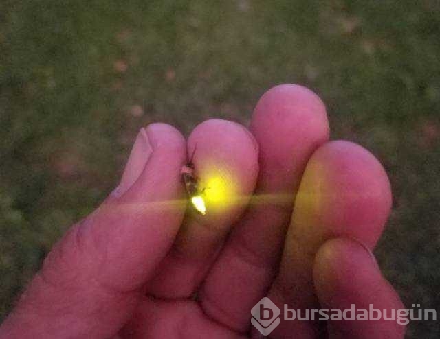 Günün en çok paylaşılan fotoğrafları